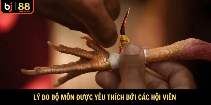 Lý do bộ môn được yêu thích bởi các hội viên 