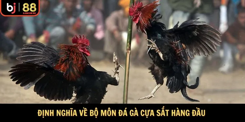 Định nghĩa về bộ môn đá gà cựa sắt hàng đầu 
